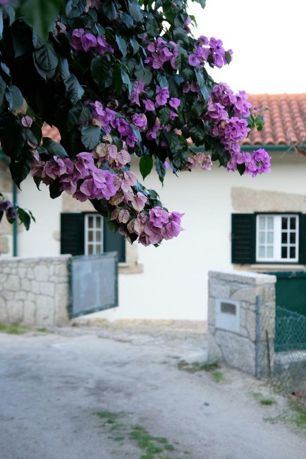 Paradamonte Casa Velha 빌라 외부 사진