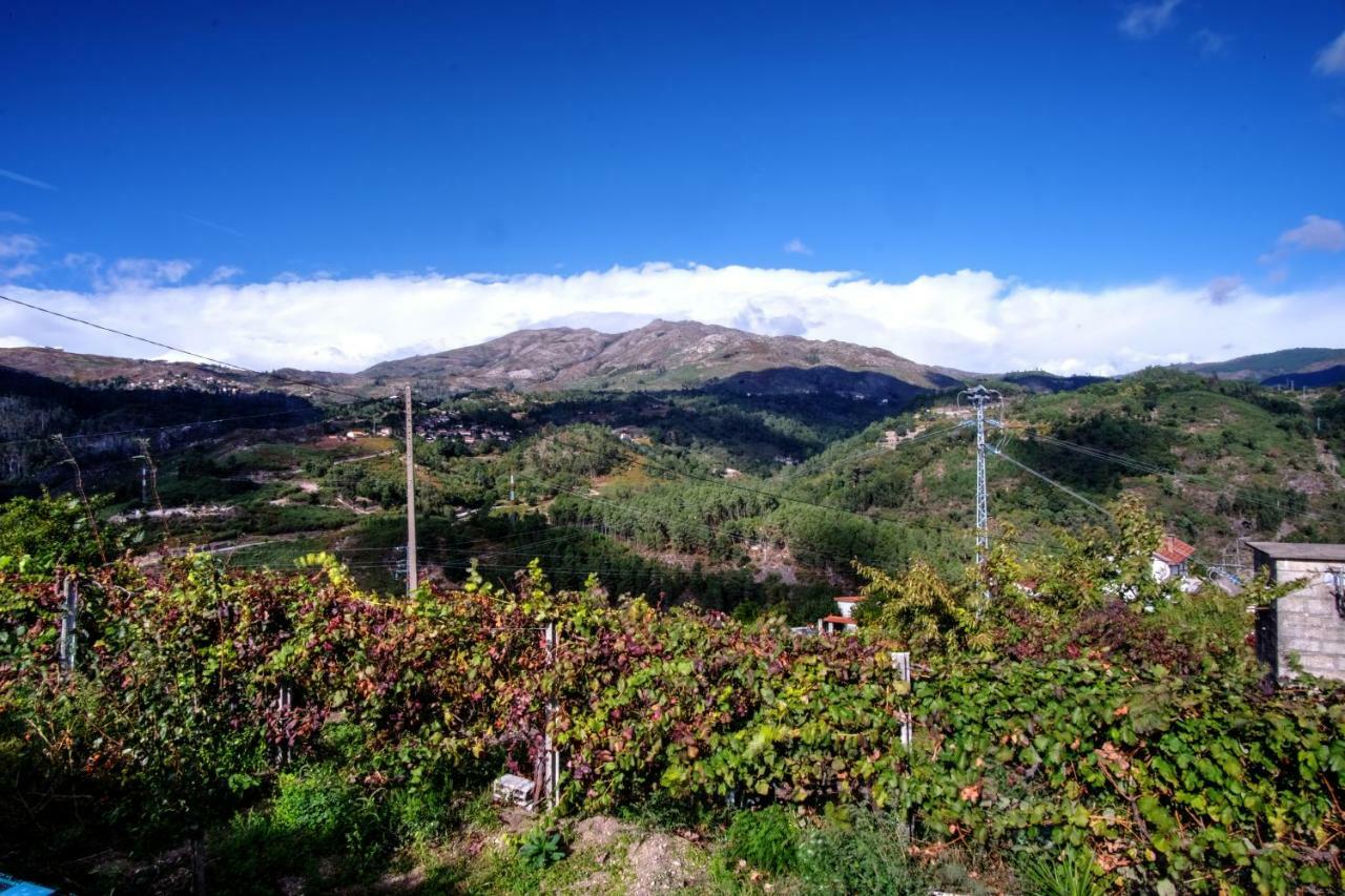 Paradamonte Casa Velha 빌라 외부 사진